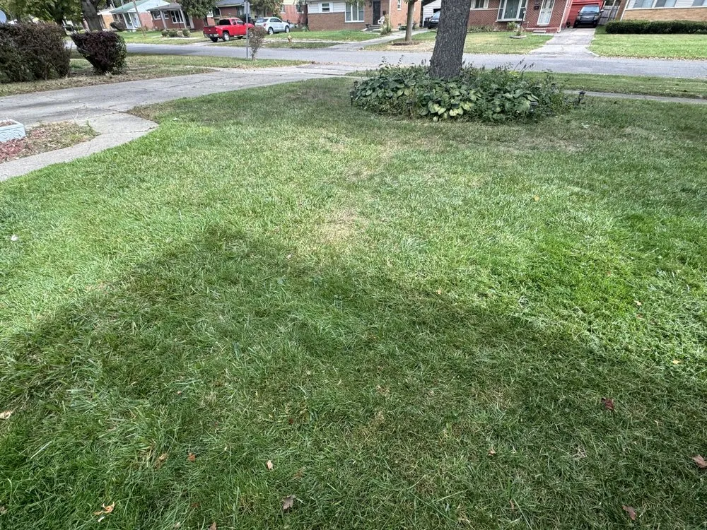 Reliable lawn care service in Flint, MI - Az Landscaping