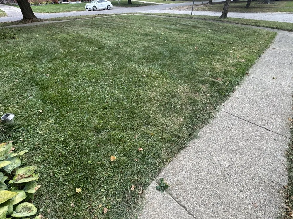 Professional garden landscaping in Flint, MI by Az Landscaping