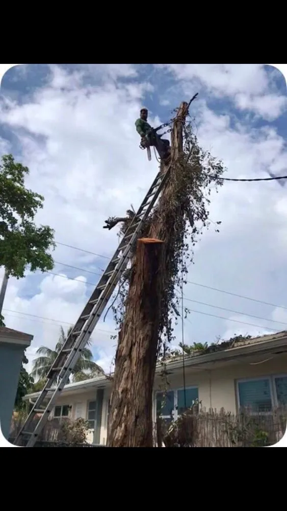 Local lawn mowing service in Fort Lauderdale, FL by AZ Landscaping