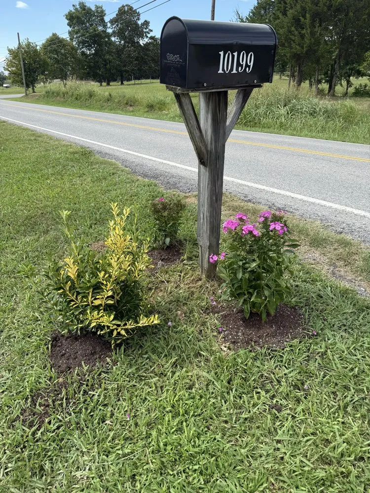 Custom yard cleanup service for year-round maintenance in Mosheim, TN by A&Z Landscaping PW Stain & Frame