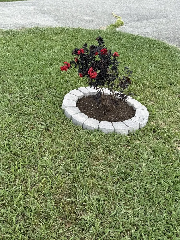 Professional garden landscaping for residential properties in Mosheim, TN by A&Z Landscaping PW Stain & Frame