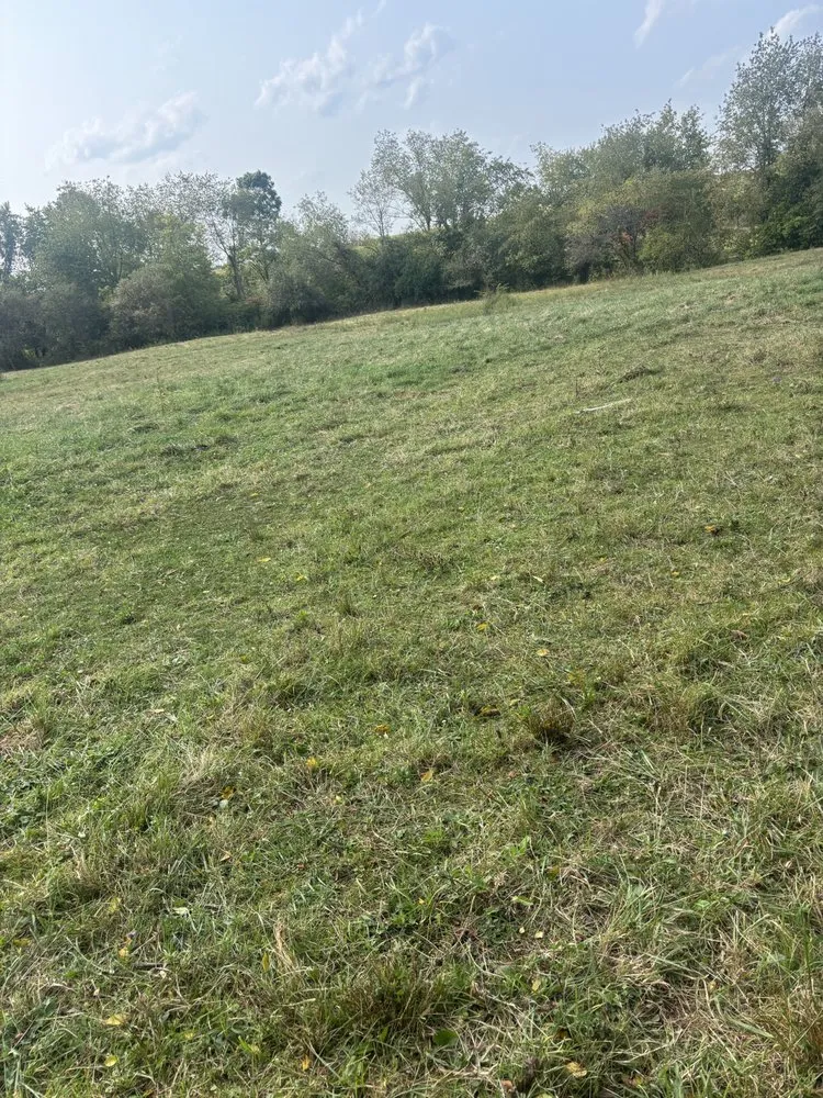 Custom yard maintenance experts serving Seville, OH - A&Z Landscaping