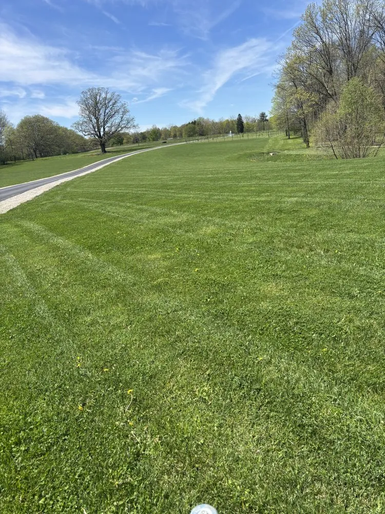 Affordable yard cleanup service in Seville, OH - A&Z Landscaping