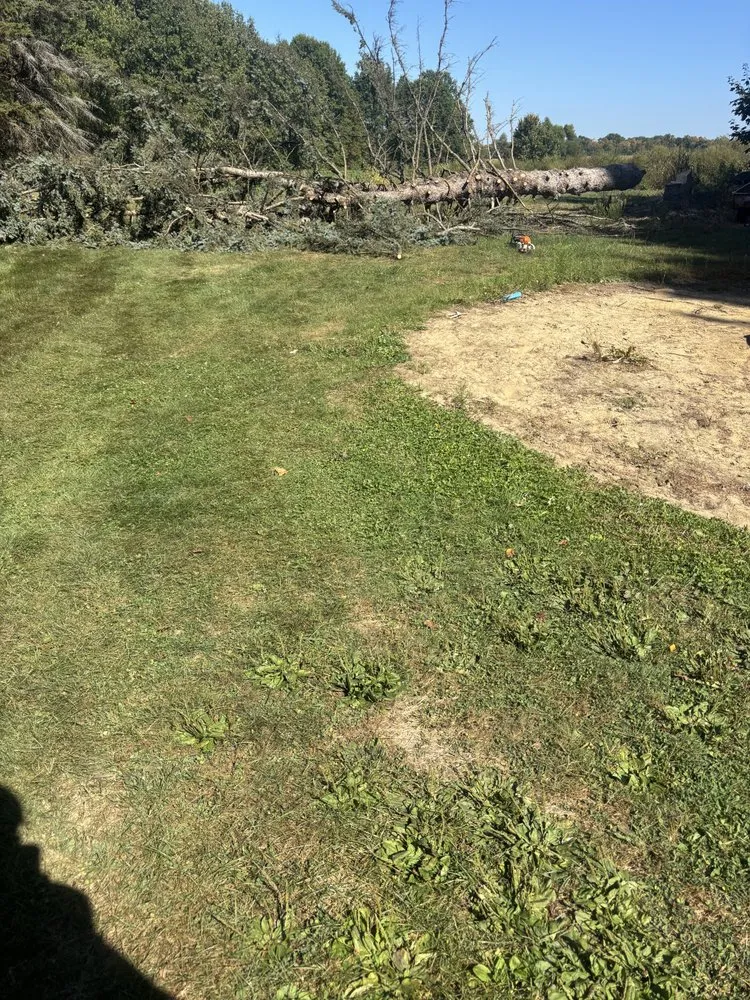 Reliable lawn care service for homes across Seville, OH - A&Z Landscaping