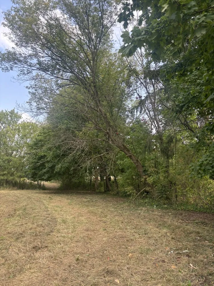 Affordable lawn care service with custom design in Seville, OH by A&Z Landscaping