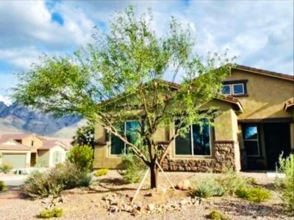 Reliable residential landscaping experts serving Tucson, AZ - Az landscaping