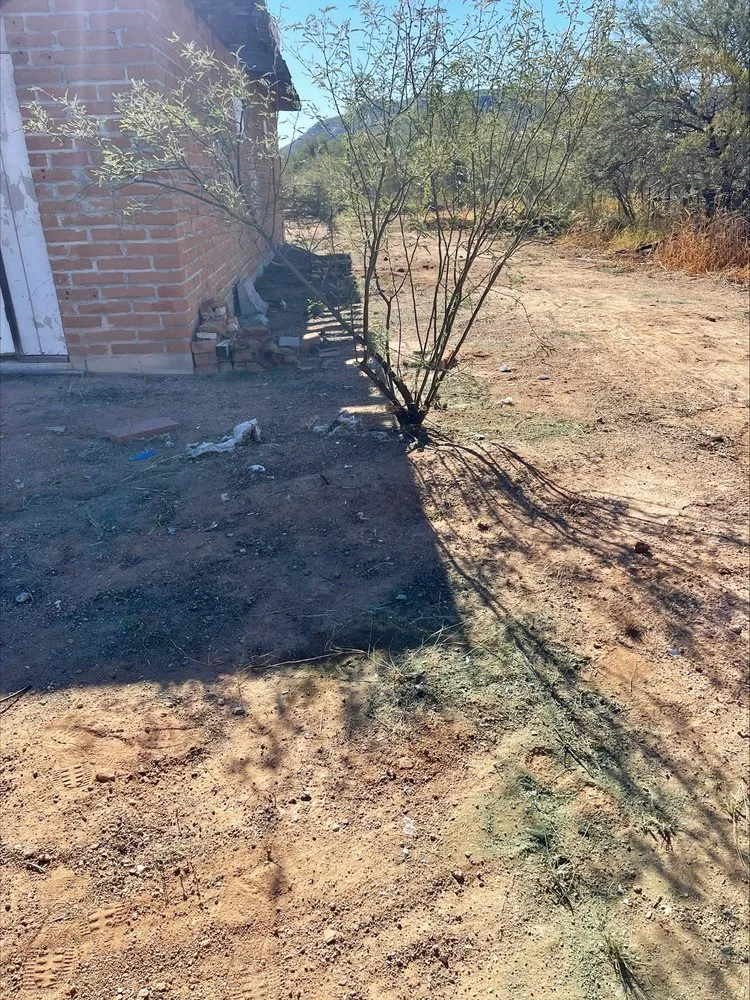 Local garden landscaping with custom design in Tucson, AZ by Az landscaping