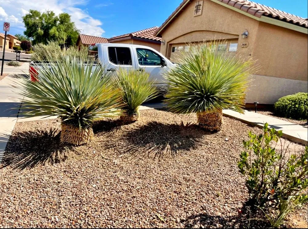 Reliable residential landscaping in Tucson, AZ - Az landscaping