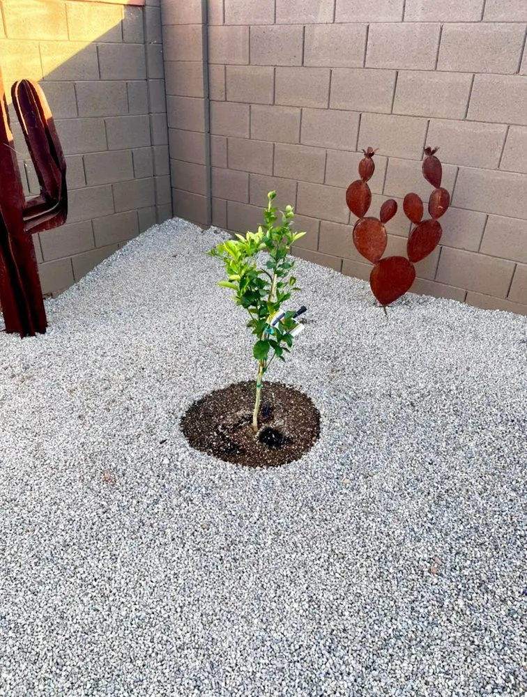 Professional residential landscaping in Tucson, AZ by Az landscaping