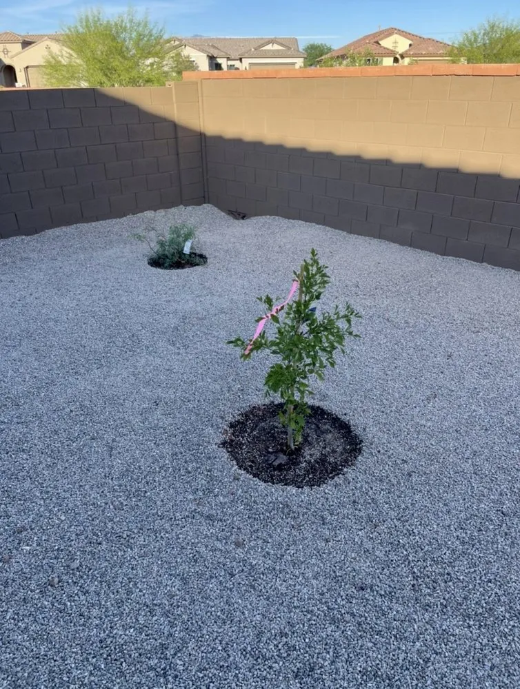 Local landscaping services for homes in Tucson, AZ by Az landscaping