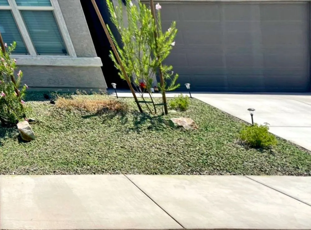 Expert lawn mowing service experts serving Tucson, AZ - Az landscaping