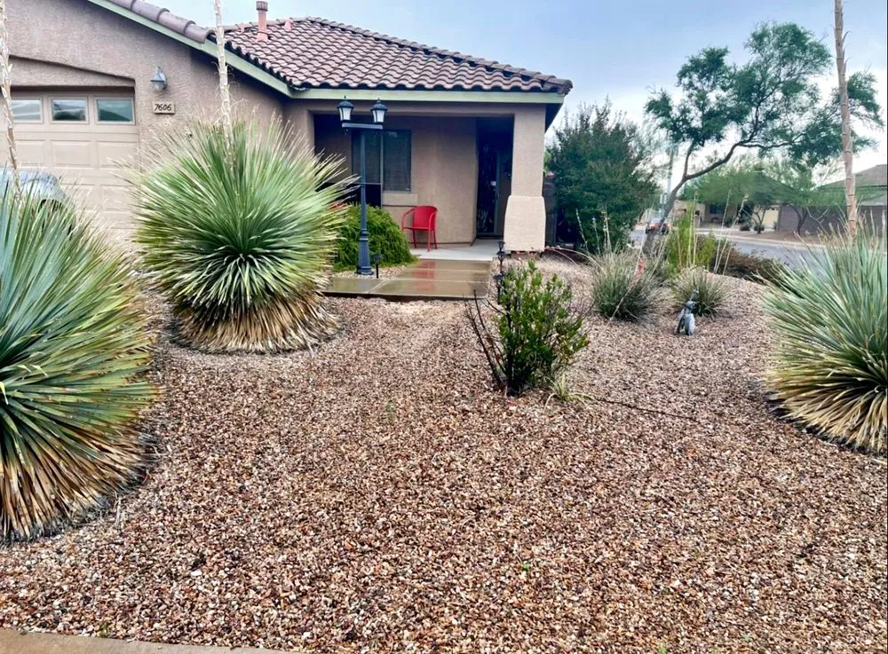 Affordable landscape design in Tucson, AZ by Az landscaping