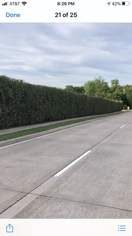 Reliable outdoor landscaping for outdoor upgrades in Shady Shores, TX by AZ Lawn and Tree