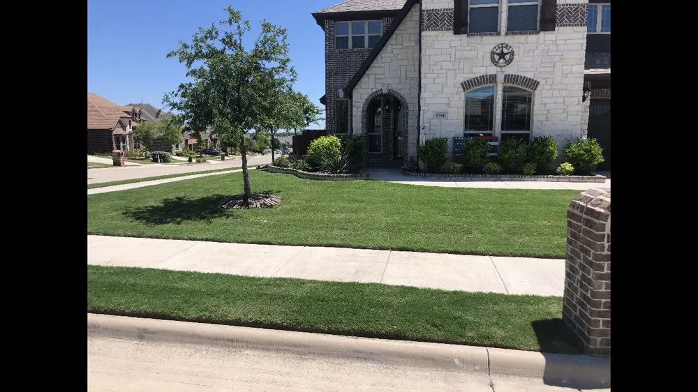 Reliable landscape installation in Shady Shores, TX - AZ Lawn and Tree
