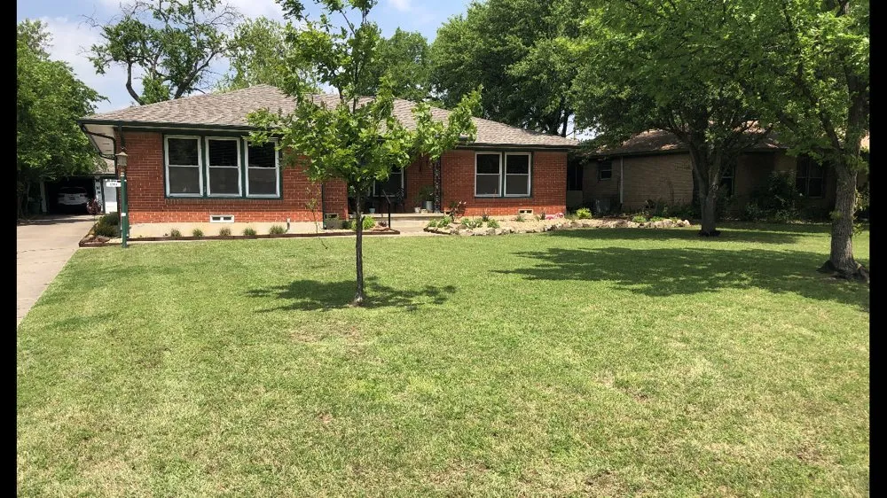 Professional landscape design in Shady Shores, TX by AZ Lawn and Tree