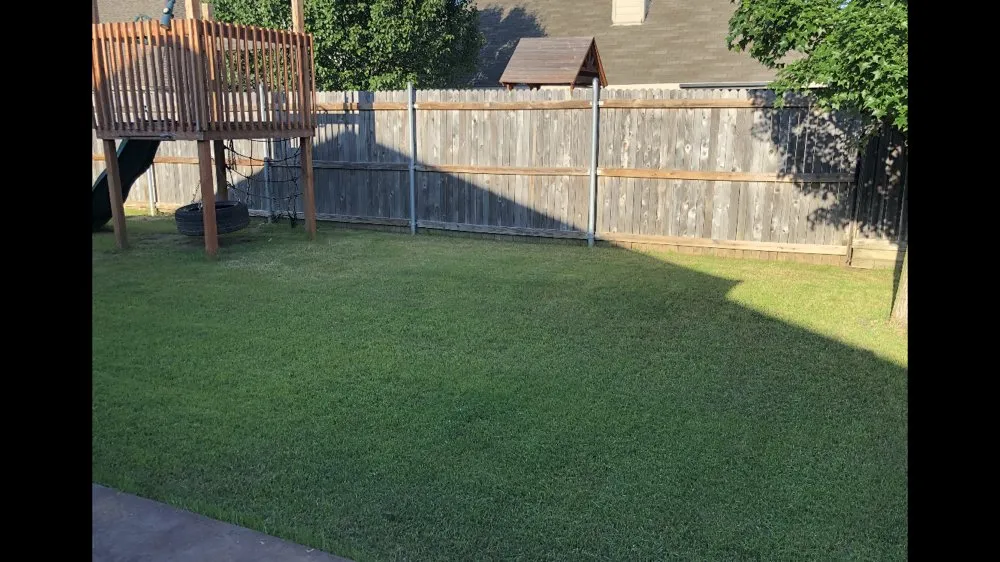 Affordable lawn mowing service in Shady Shores, TX - AZ Lawn and Tree