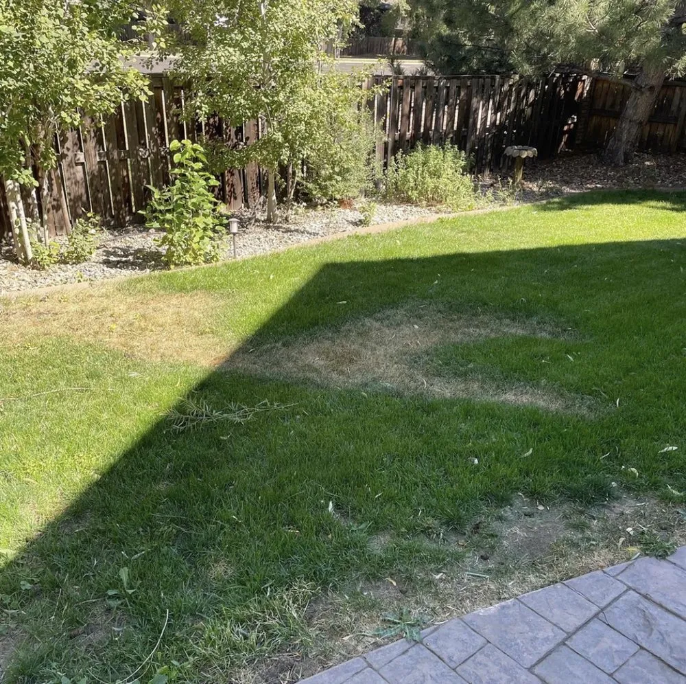Local outdoor landscaping for residential properties across Fort Collins, CO - Az Lawn Care
