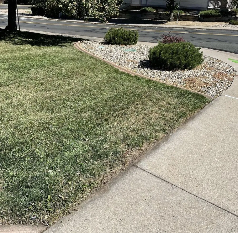 Reliable garden landscaping for homes in Fort Collins, CO by Az Lawn Care