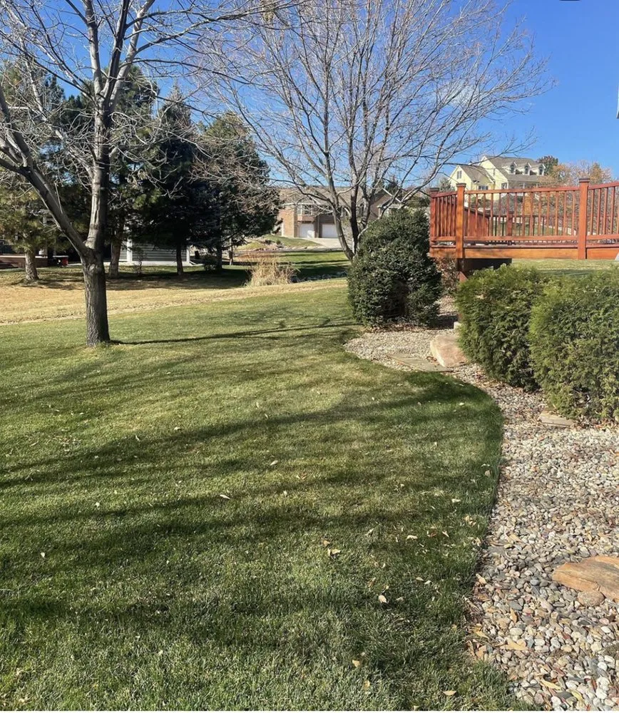 Top-rated residential landscaping experts serving Fort Collins, CO - Az Lawn Care