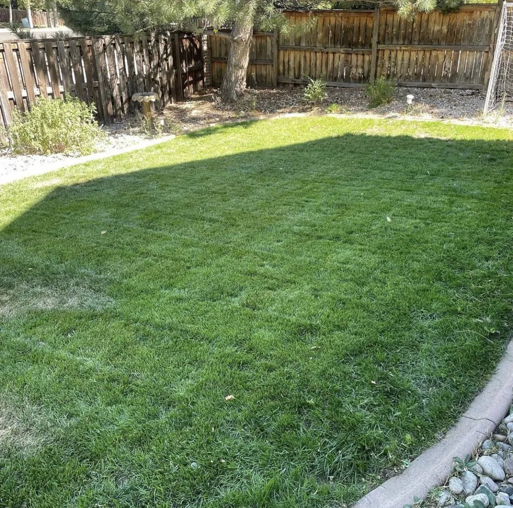 Professional residential landscaping experts serving Fort Collins, CO - Az Lawn Care