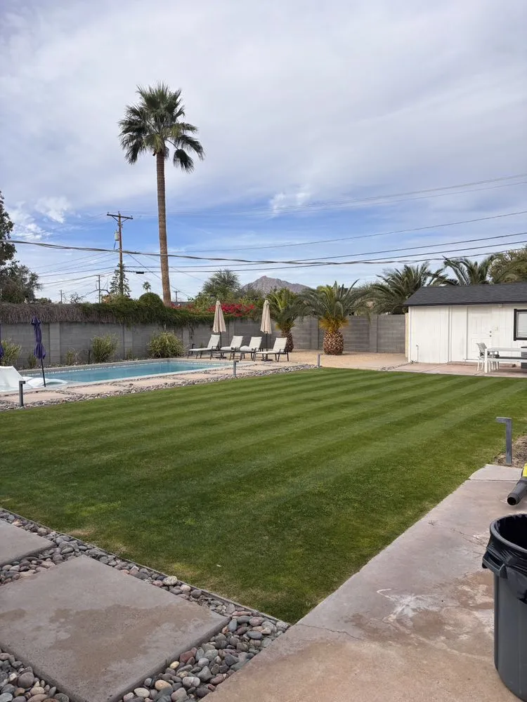 Custom garden landscaping with custom design across Chandler, AZ - AZ Lawn Dad