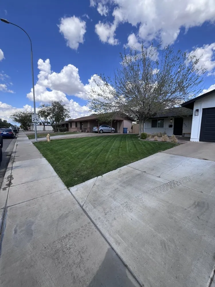 Top-rated landscape installation in Chandler, AZ - AZ Lawn Dad