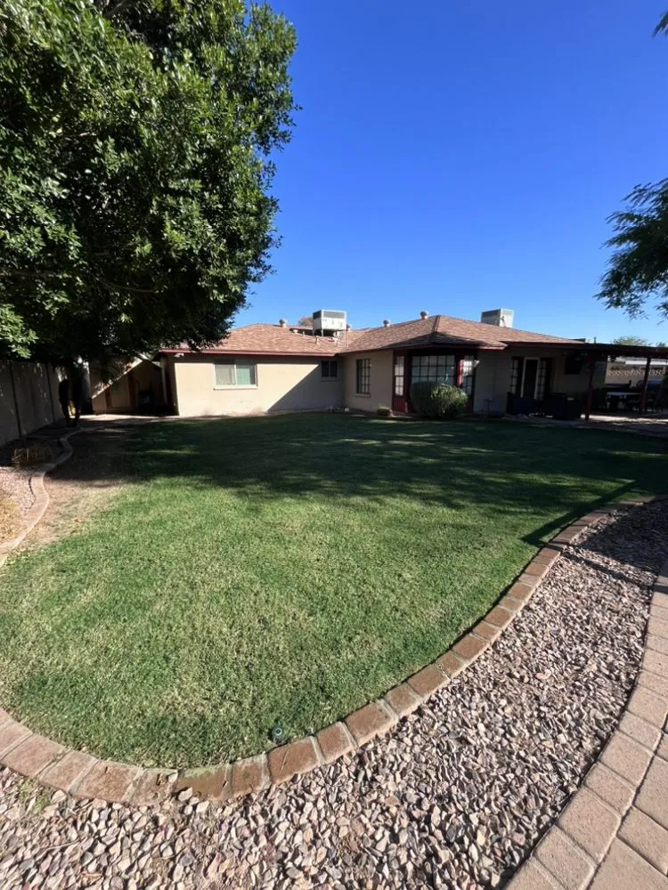 Trusted yard cleanup service in Chandler, AZ - AZ Lawn Dad