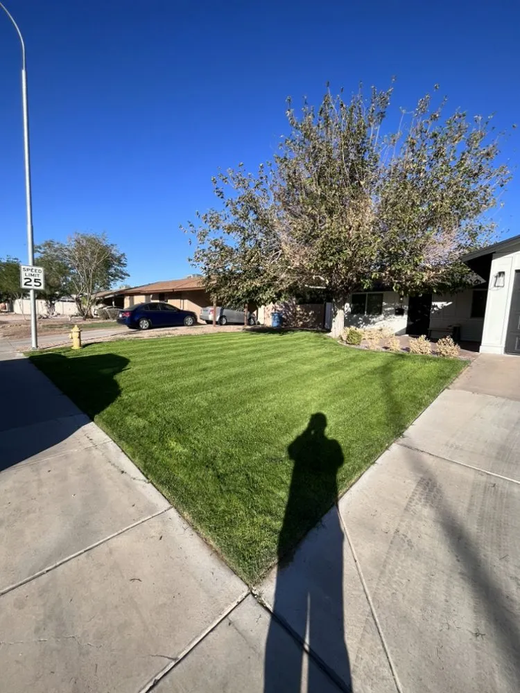 Local landscape installation in Chandler, AZ by AZ Lawn Dad