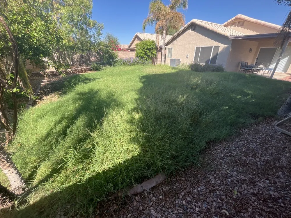 Professional outdoor landscaping experts serving Chandler, AZ - AZ Lawn Dad