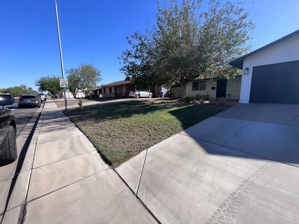 Professional yard cleanup service in Chandler, AZ by AZ Lawn Dad