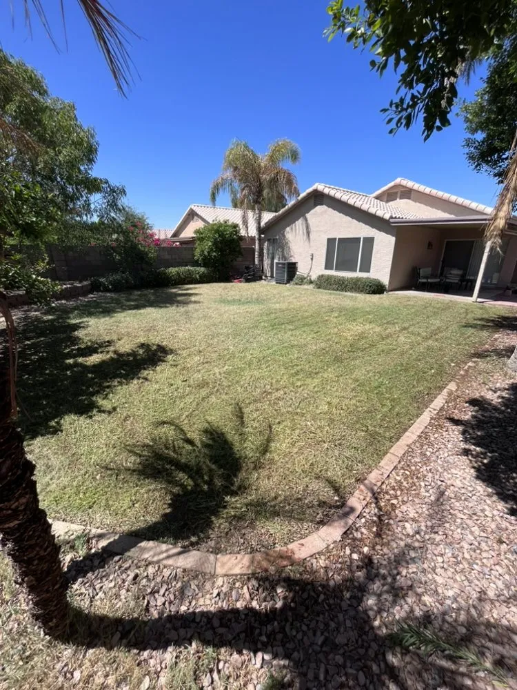 Expert lawn care service in Chandler, AZ by AZ Lawn Dad