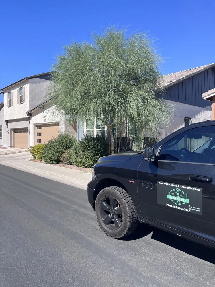 Affordable landscaping services experts serving Chandler, AZ - AZ Lawn Dad