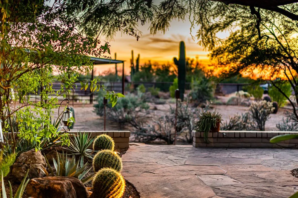 Custom outdoor landscaping in Gilbert, AZ by Az LawnScape