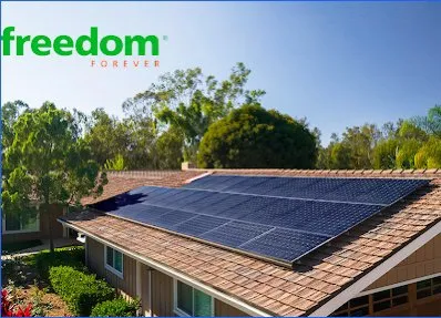 Trusted yard cleanup service in Gilbert, AZ - Az LawnScape