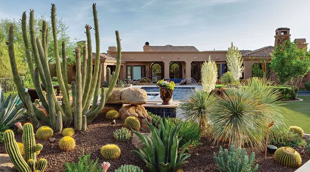 Top-rated outdoor landscaping in Gilbert, AZ - Az LawnScape