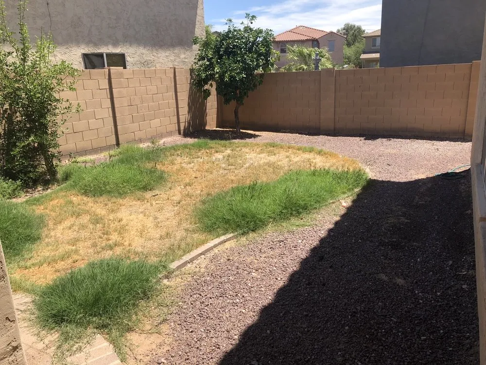 Expert outdoor landscaping experts serving Gilbert, AZ - Az LawnScape