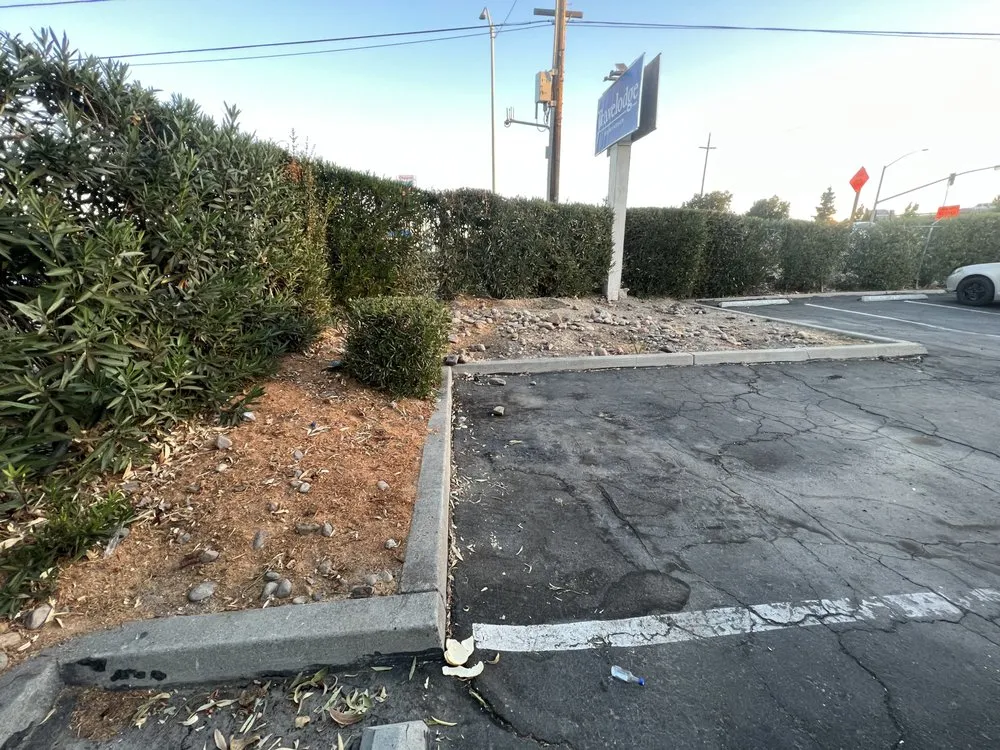 Custom landscaping services in Merced, CA - AZ Maintenance