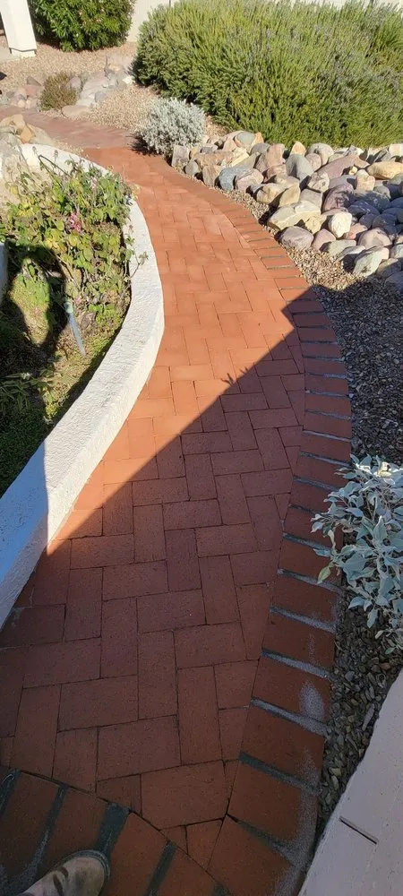 Top-rated yard cleanup service for residential properties in Tucson, AZ by AZ Monarch Landscape Services