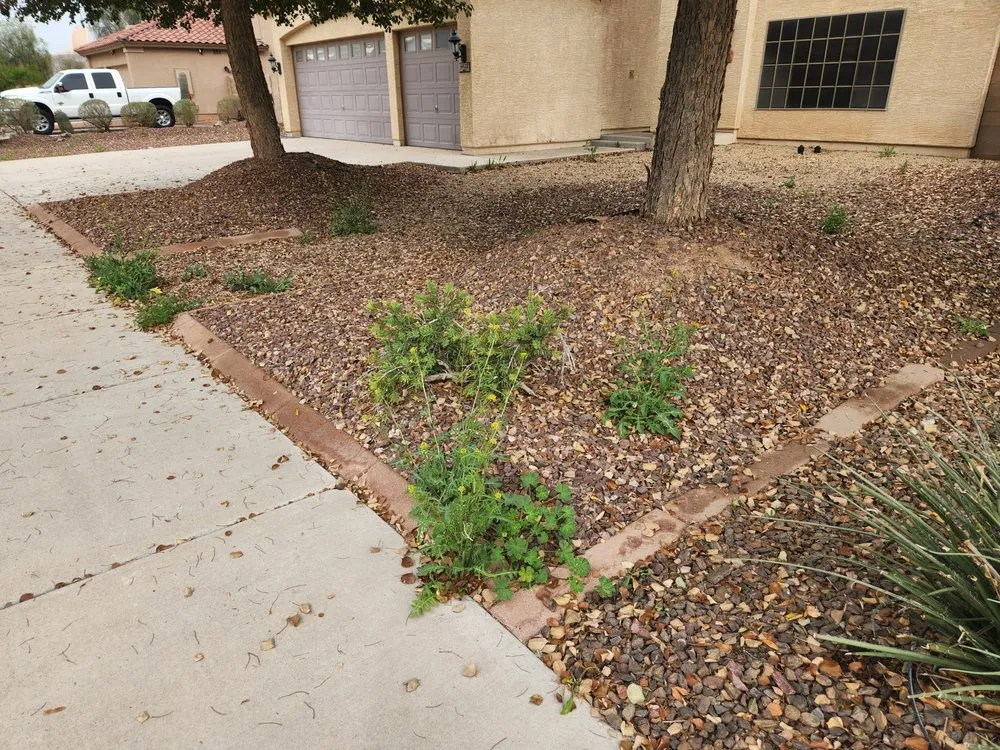 Trusted outdoor landscaping experts serving Phoenix, AZ - AZ Native Labor