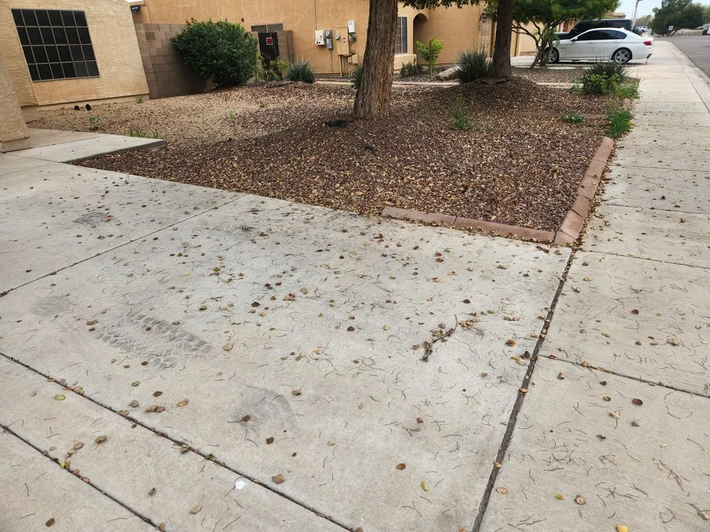 Custom landscape design in Phoenix, AZ by AZ Native Labor