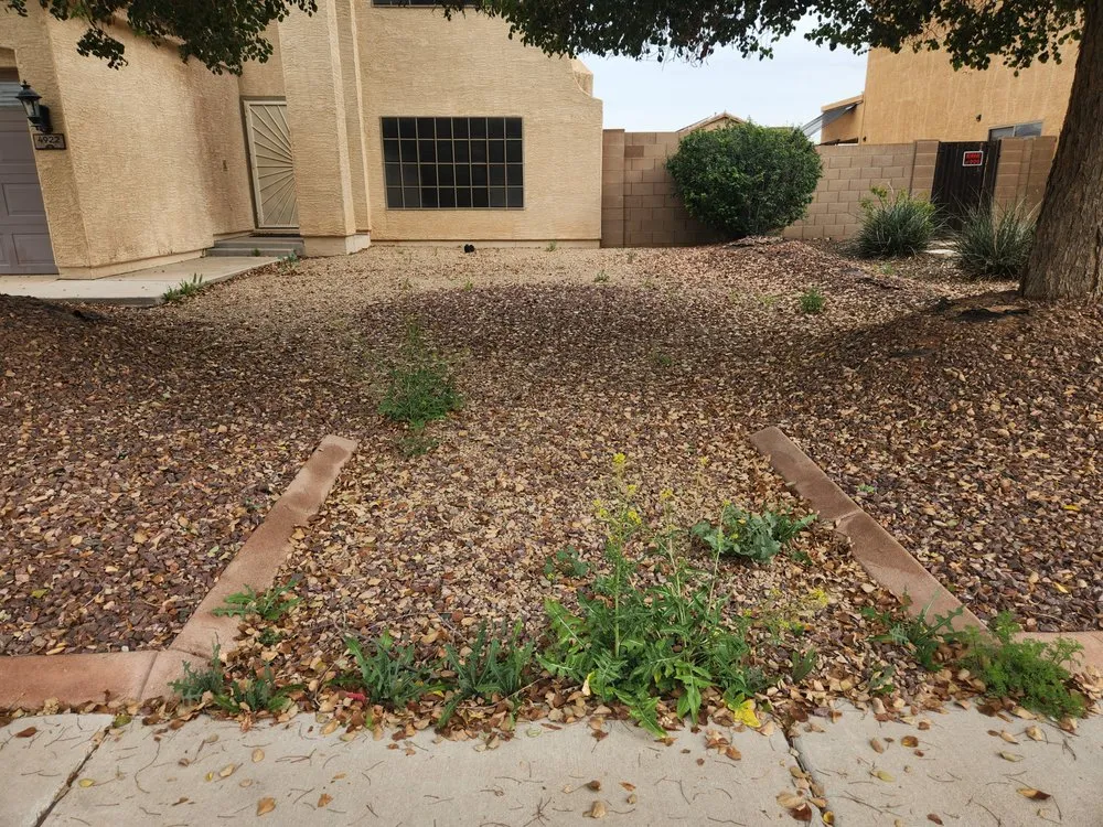 Trusted yard maintenance with custom design in Phoenix, AZ by AZ Native Labor