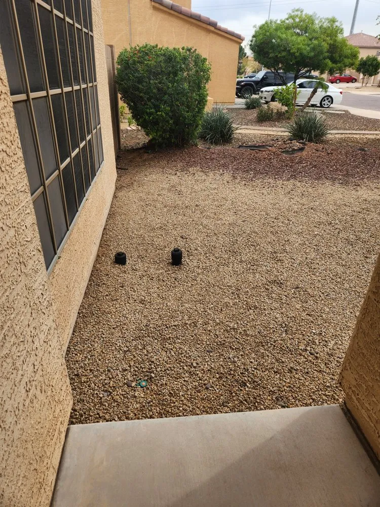 Trusted garden landscaping in Phoenix, AZ by AZ Native Labor