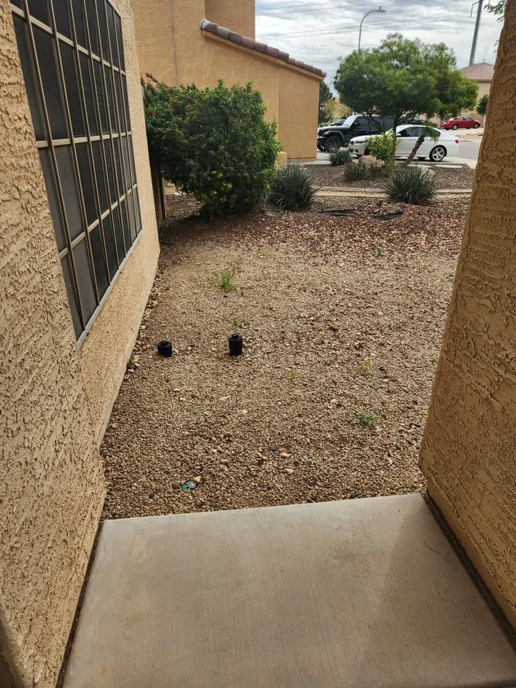 Top-rated lawn mowing service for beautiful yards across Phoenix, AZ - AZ Native Labor