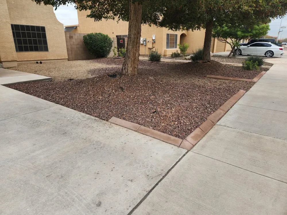 Top-rated yard cleanup service experts serving Phoenix, AZ - AZ Native Labor