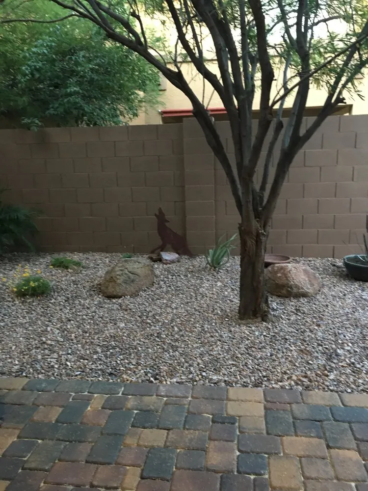 Reliable landscaping services experts serving Chandler, AZ - AZ NativeScapes