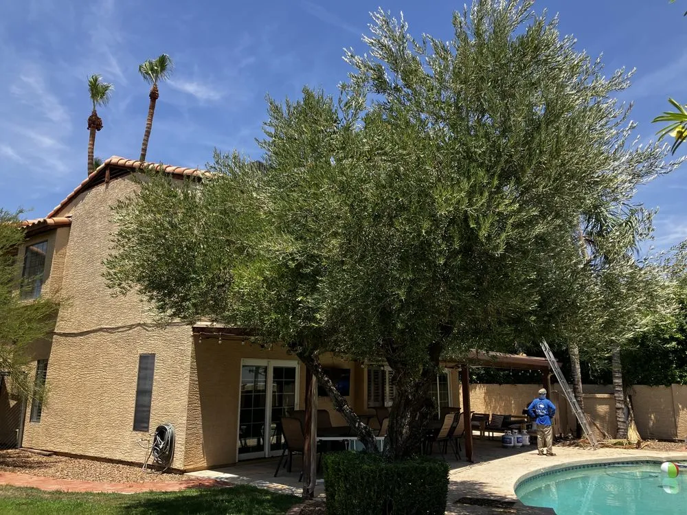 Local yard cleanup service with custom design across Phoenix, AZ - Az New Leaf Landscaping