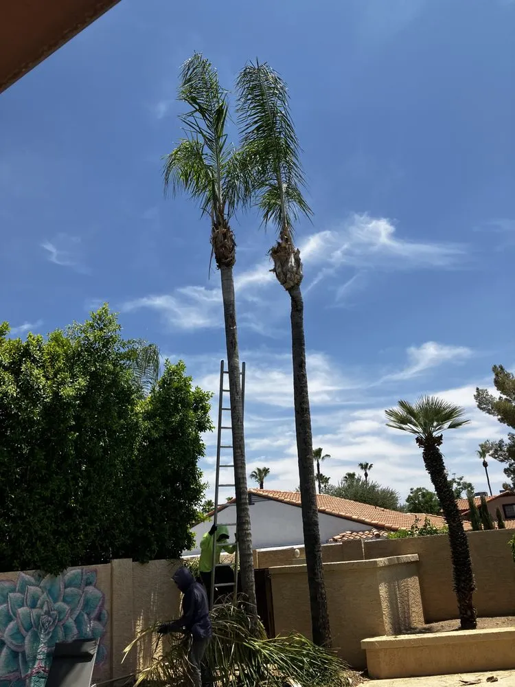 Custom residential landscaping experts serving Phoenix, AZ - Az New Leaf Landscaping