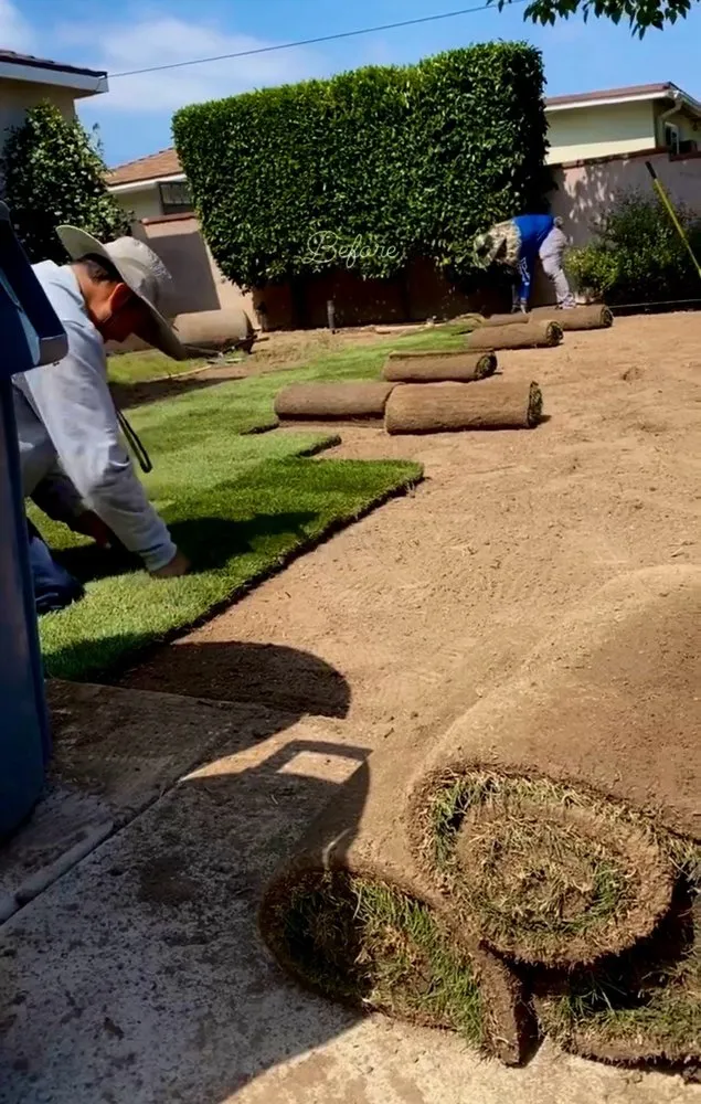 Professional landscape design experts serving Ontario, CA - Az Organics