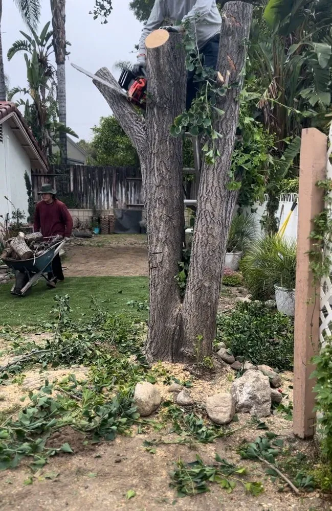 Trusted yard maintenance experts serving Ontario, CA - Az Organics