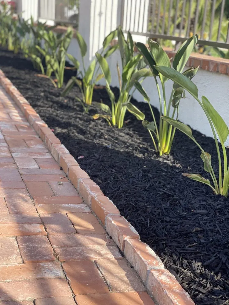 Professional yard maintenance experts serving Ontario, CA - Az Organics